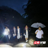 暴雨中的那一抹“柔”与“刚”——记沙塔坪乡茶盘口村孕支书宋燕
