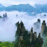 一雨成仙境!张家界七月峰林云海如梦似幻