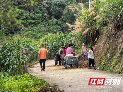慈利县岩泊渡镇失马村：“圩心失马”解民忧 党群齐心复坦途