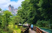 张家界：盛夏十里画廊 山水迎客入画来