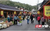湘西振兴记丨保靖县：凤巢山下“村播”忙  山货出山跑出加速度
