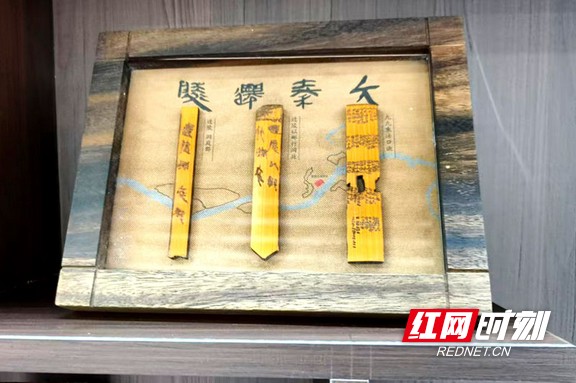 微信图片_20251109142444_168_12.marked.jpg 微信图片_20251109142444_168_12.marked.jpg