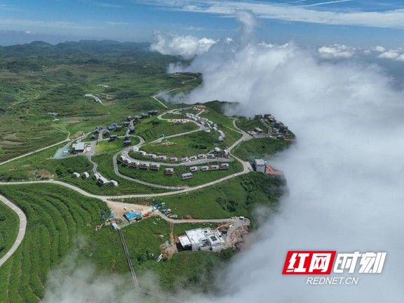 图片1.marked.jpg 图片1.marked.jpg