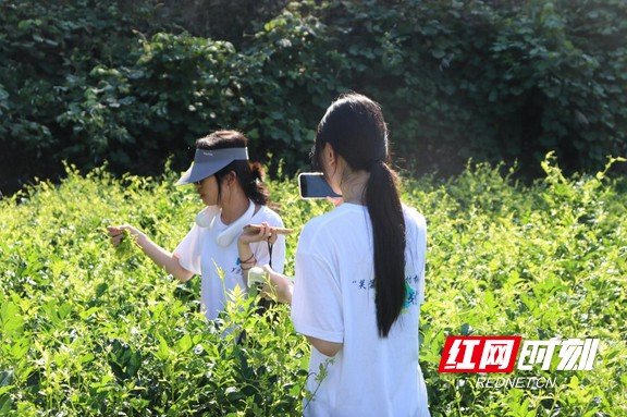 图片6.marked.jpg