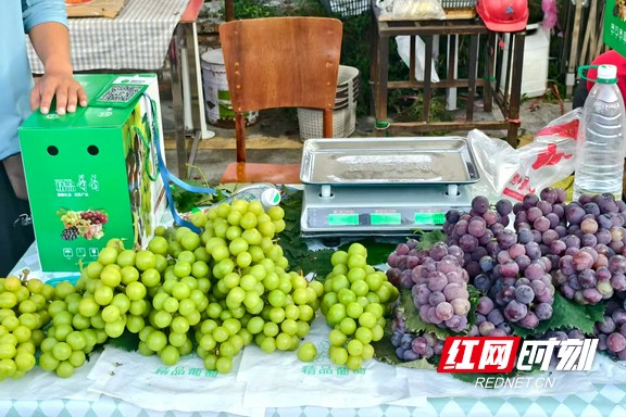 微信图片_20250817120443.marked.jpg