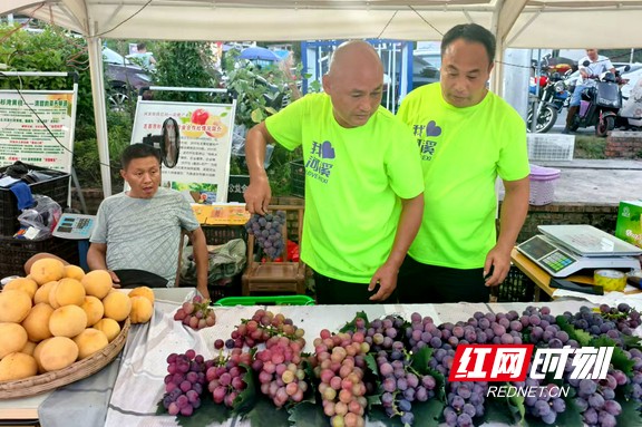 微信图片_20250817120438.marked.jpg