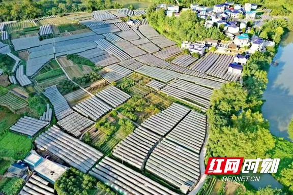 微信图片_20250817142324.marked.jpg