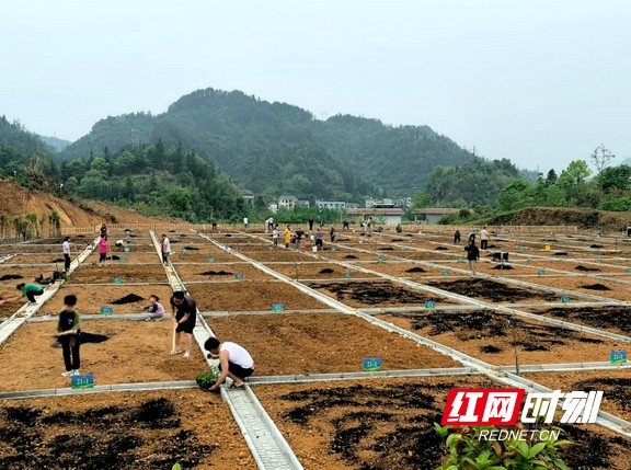 08fe3b528bfe4c8c979d1580718e5791_副本.marked.jpg 08fe3b528bfe4c8c979d1580718e5791_副本.marked.jpg