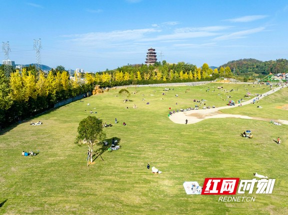 微信图片_2026-10-13_164857_317_副本.marked.jpg 微信图片_2026-10-13_164857_317_副本.marked.jpg