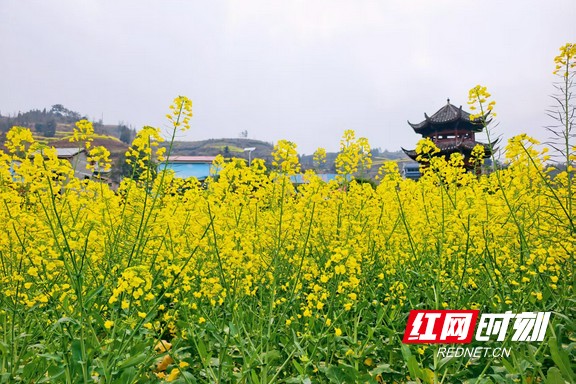 default (2).marked.jpg default (2).marked.jpg