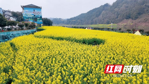 default (1).marked.jpg default (1).marked.jpg