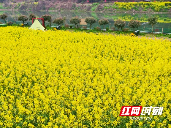 default.marked.jpg default.marked.jpg