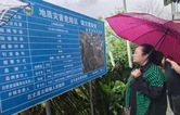 古丈县古阳镇：绷紧防汛弦  全力守好“安全线”