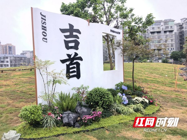 图片8.marked.jpg