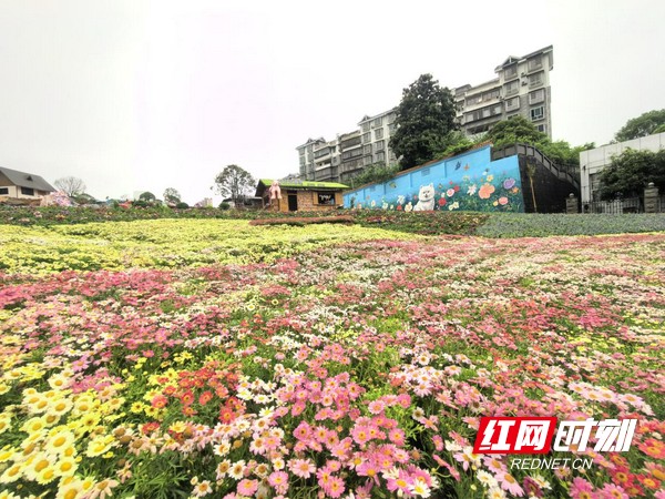 图片12.marked.jpg