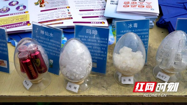 图片2.marked.jpg