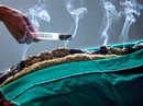 健康科普 | 督灸——行走于背部的太阳