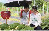 吉首大学药学院：把中药学课堂搬进武陵山中药材产业链一线