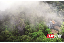 湖南八大“夏季避暑旅游胜地”扫描 看看哪个地方受你青睐？