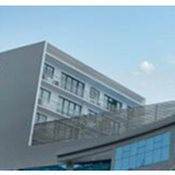 发挥经济特区独特优势 推动构建新发展格局——聚焦广东经济特区发展