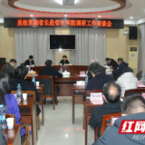 加强智库建设，在实施“三高四新”战略中彰显社科新作为