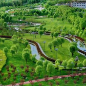 携手同行，开启人类高质量发展新征程——习近平主席在《生物多样性公约》第十五次缔约方大会领导人峰会上的主旨讲话解读