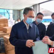 王成在通道调研:扎实推动抓党建促乡村振兴落地见效