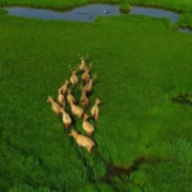 湘乡:当好净化卫士,守护一江碧水