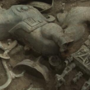 三星堆新发现 | 七八号坑现神树残件 解码三星堆添新钥匙