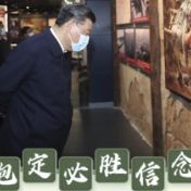 联播+|走访八桂 总书记指引壮美广西闯新路