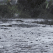 省防指:湘中及以南地区将迎来新一轮强降雨过程,致灾风险高