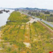 湖南守护好一江碧水：法律为利剑 斩断河道采砂乱象