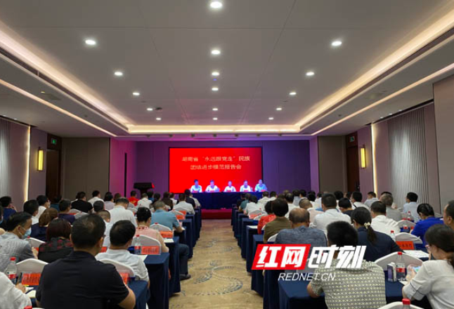 湖南“永远跟党走”民族团结进步模范报告会在怀化举行