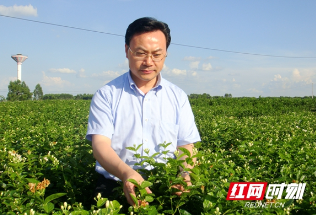 两优一先︱刘仲华：对学生有问必答 致力科研成果“顶天立地”