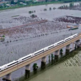 全部恢复运行!!!