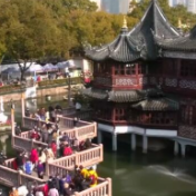 新年看市场 | 上海：老字号焕发新活力 各大商圈迎来消费高潮