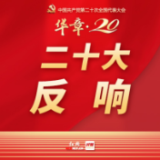 二十大时光丨文化篇①：筑牢文化自信，传扬中华文明