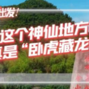 探寻中国式现代化之路 | 这个神仙地方真是“卧虎藏龙”