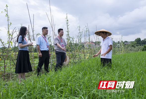 清风头条丨娄底经开区：用好“互联网+监督” 推进乡村振兴领域专项监督