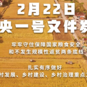 全文来了！2022年中央一号文件