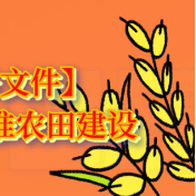 【数读中央一号文件】全面完成高标准农田建设阶段性任务