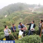 聚焦2022年乡村振兴 | 明确责任 五级书记抓乡村振兴 稳扎稳打推进