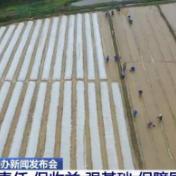 聚焦2022年乡村振兴 | 压责任 保收益 强基础 保障国家粮食安全