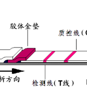 特异性高达99.74%！上海新冠抗原检测试剂获批上市