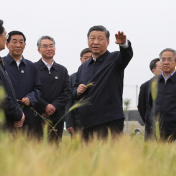 学习进行时丨粮食安全，习近平念兹在兹