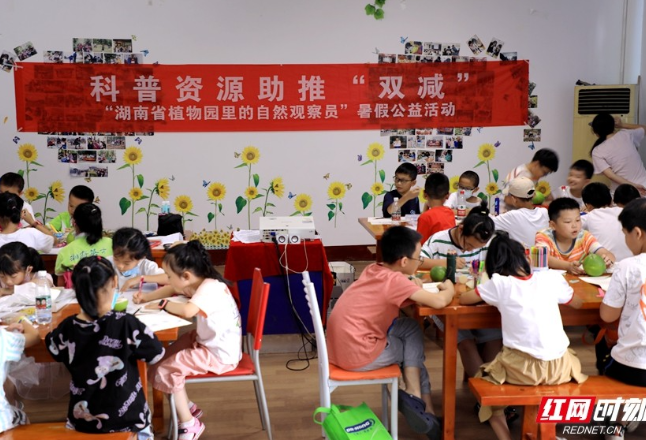 湖南省植物园开展暑假公益科普活动 木槿、荷花进入观赏期
