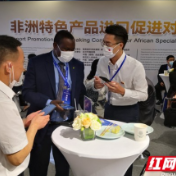 他们最关注什么？跟着非洲驻华使节走进湖南自贸试验区长沙片区