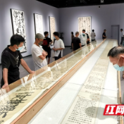 品草书艺术盛宴 “怀素故里——当代全国草书名家邀请展”开幕