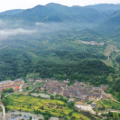 新时代新征程新伟业·习近平总书记关切事丨大别深山育新变