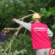 “党建引领·村网共建”丨湘潭供电为美丽乡村赋能